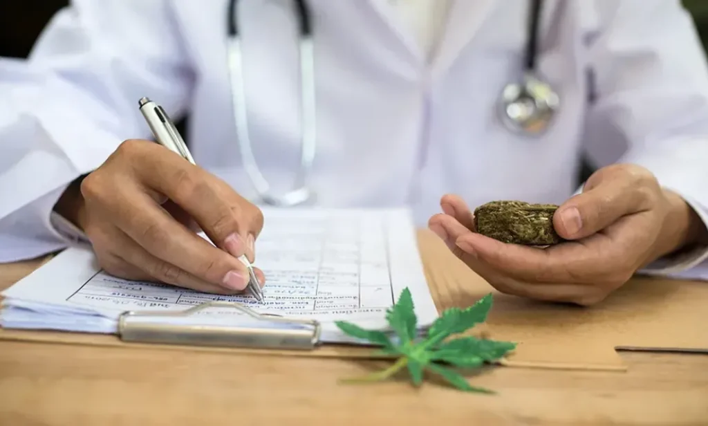 The Fastest Way to Get Medical Cannabis Certification