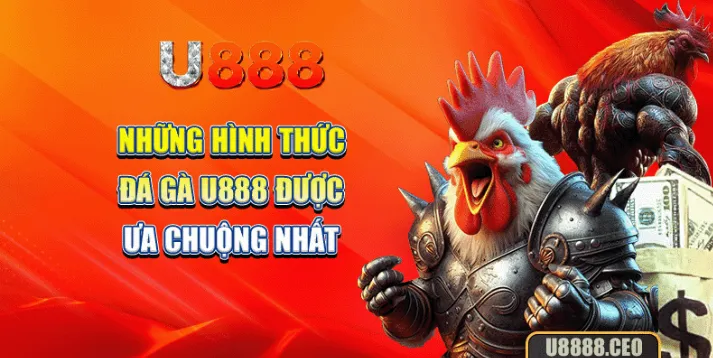 U888 Cockfighting - Gathering the Top Fighting Cocks on the Market
